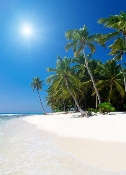 Mar tropical e céu azul — Fotografia de Stock