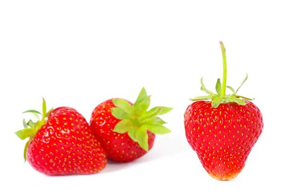 Red,tasty  strawberries Stock Photo