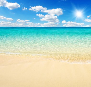 plaj ve tropikal deniz