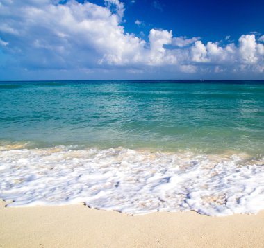 tropikal deniz ve plaj