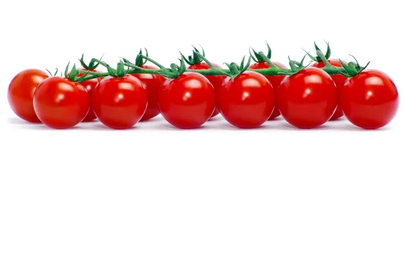 Kırmızı kiraz domates — Stok fotoğraf