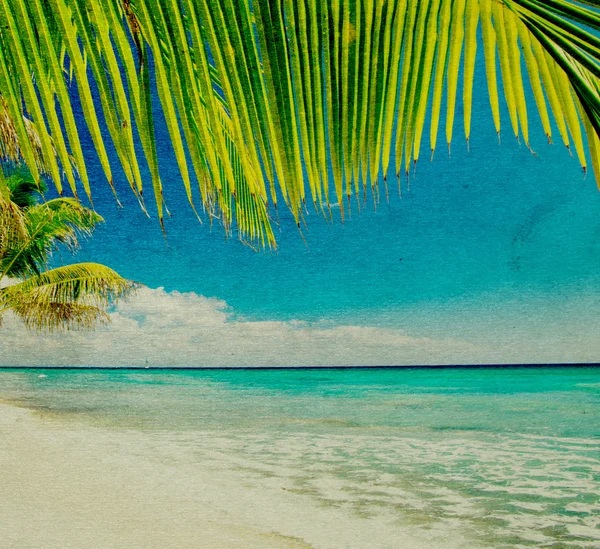 Grunge tropikal plaj — Stok fotoğraf