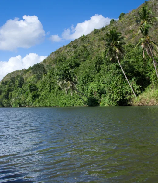 Fiume Chavon in Repubblica Dominicana — Foto Stock