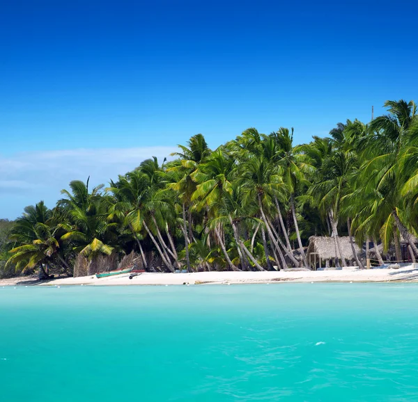 Playa y mar tropical — Foto de Stock