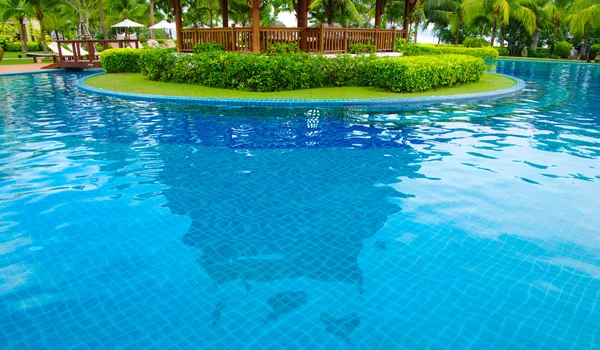 Piscina tropical — Foto de Stock