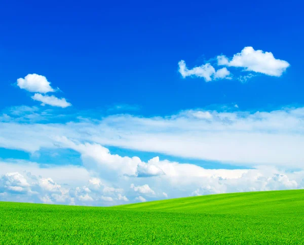 Campo y cielo azul — Foto de Stock