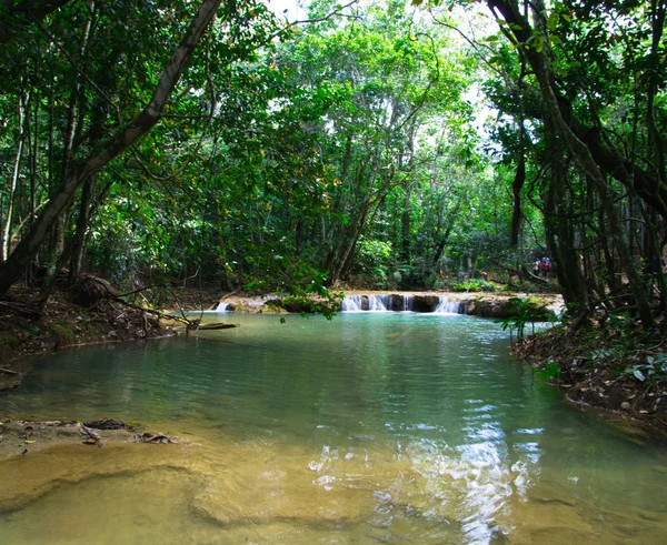 Stream in  tropical jungle — Stock Photo, Image