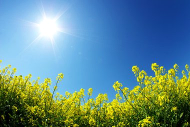 gökyüzü ve tecavüz alan