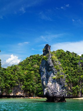 plaj ve tropikal deniz