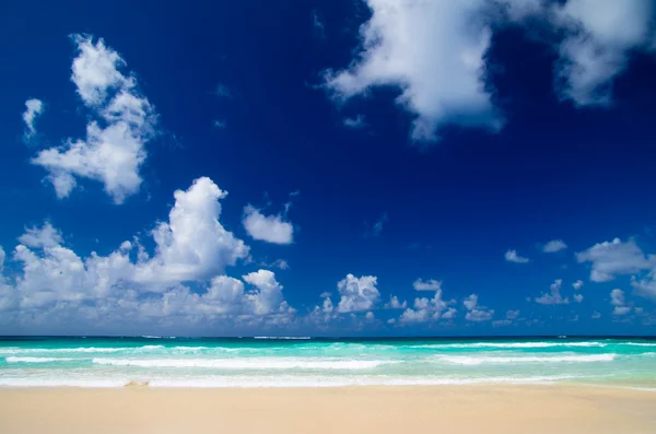 Mer tropicale sous le ciel bleu — Photo