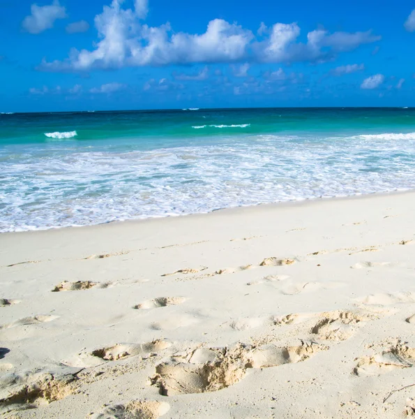 Mar tropical e céu azul — Fotografia de Stock