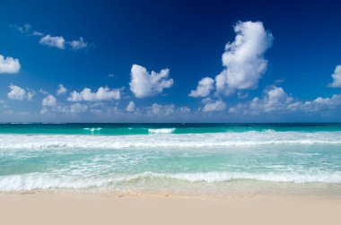 plaj ve tropikal deniz