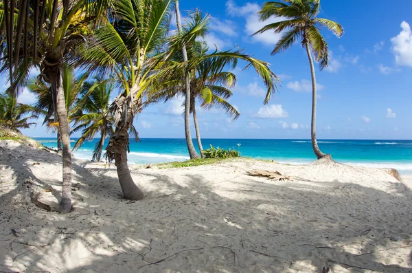 Beach and tropical sea — Stock Photo, Image