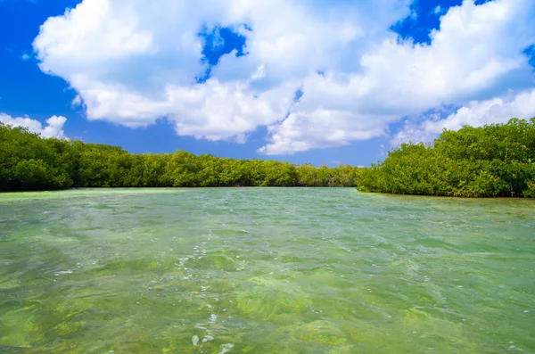 ชายหาดและทะเลเขตร้อน — ภาพถ่ายสต็อก