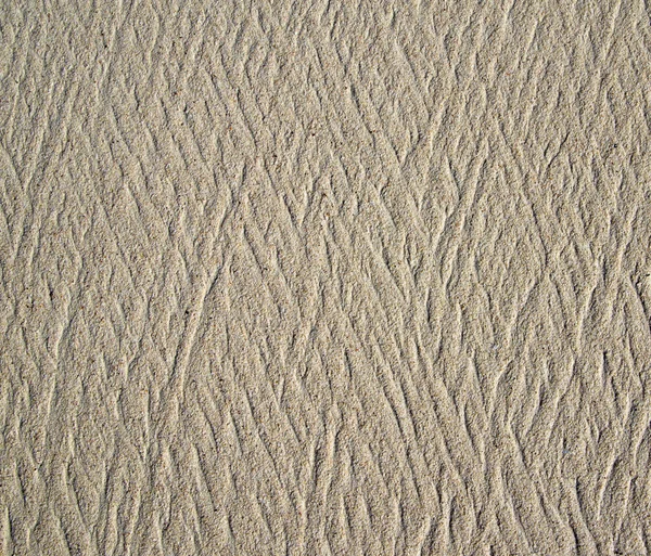 Κοντινό πλάνο από κοραλλιογενή άμμο — Φωτογραφία Αρχείου