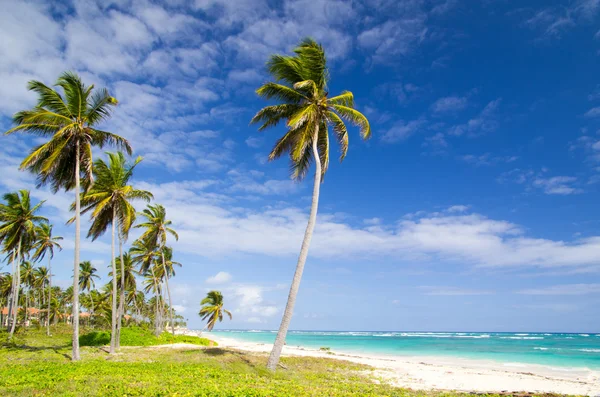 Beach and tropical sea — Stock Photo, Image