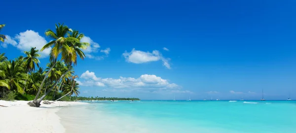 Playa y mar tropical — Foto de Stock