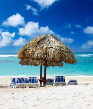 plaj ve tropikal deniz