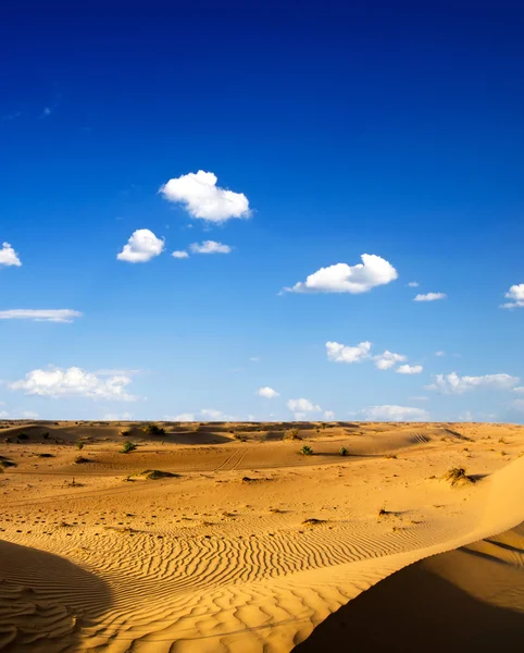 Пустынный пейзаж с голубым небом — стоковое фото