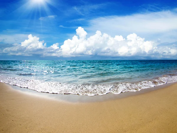 Strand och tropiskt hav — Stockfoto