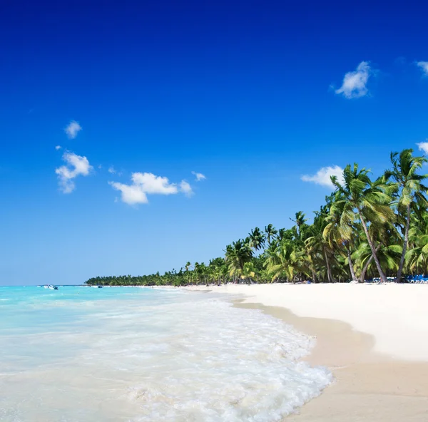 Mer tropicale et ciel bleu — Photo