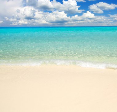 plaj ve tropikal deniz