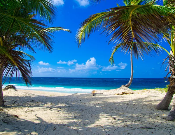 Strand und tropisches Meer — Stockfoto