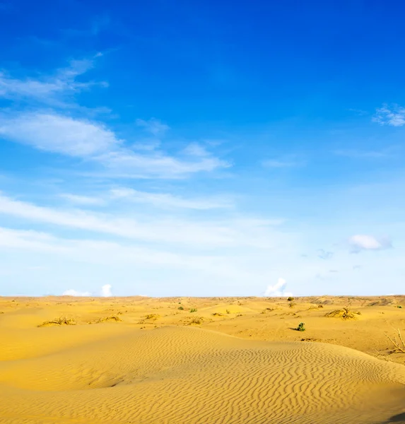 Woestijn landschap en blauwe hemel — Stockfoto