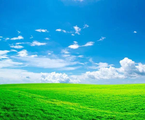 Campo y cielo azul —  Fotos de Stock