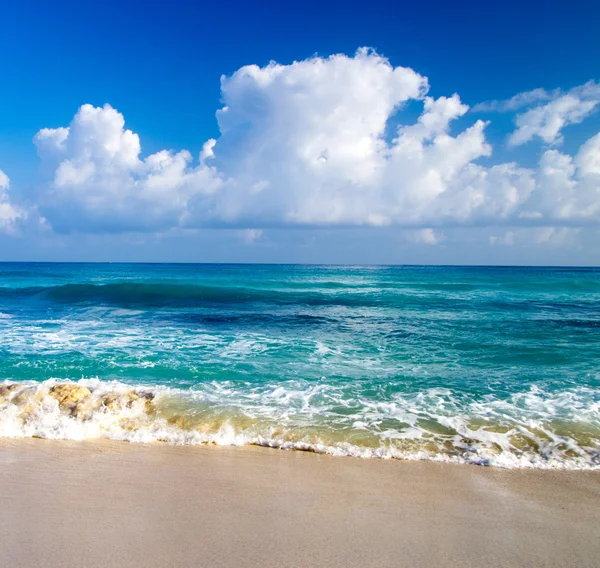 Тропическое море и голубое небо — стоковое фото