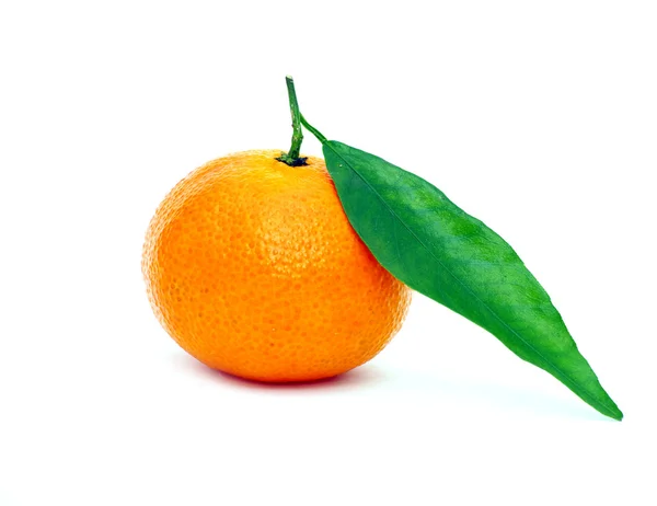 Eine frische Mandarine — Stockfoto