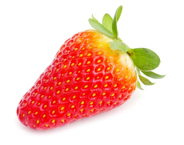 Fragola fresca rossa — Foto Stock