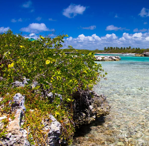 Caribische zee en hemel — Stockfoto