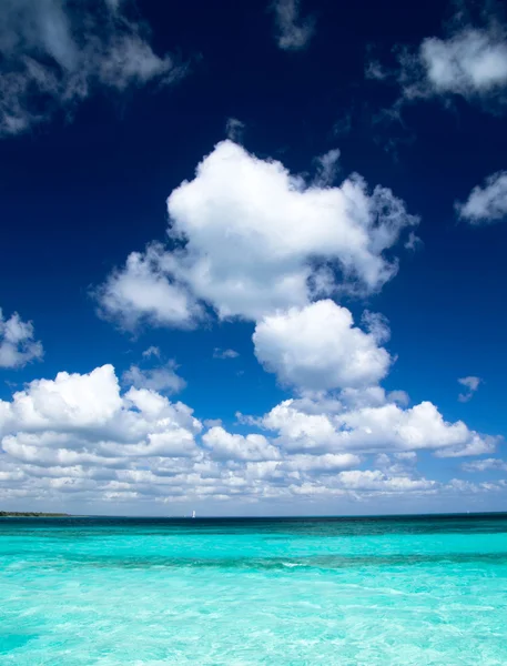 海と熱帯の海 — ストック写真