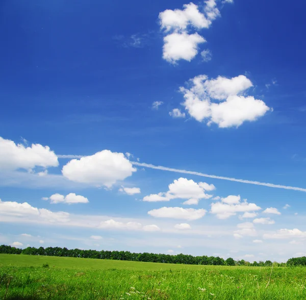 Campo e céu azul — Fotografia de Stock