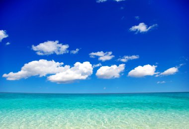 plaj ve tropikal deniz