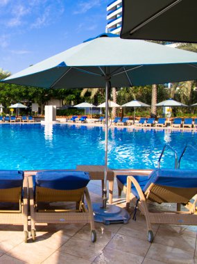 Hindistan cevizi ağaçları ile Yüzme Havuzu