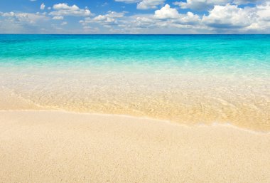 plaj ve tropikal deniz