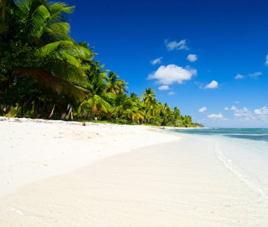plaj ve tropikal deniz