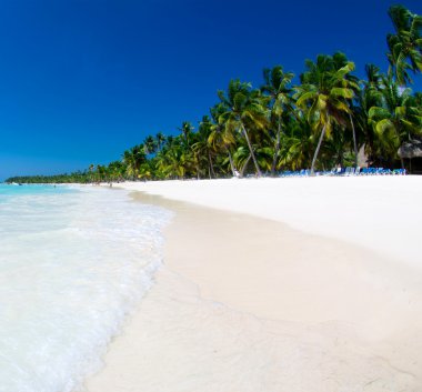 plaj ve tropikal deniz