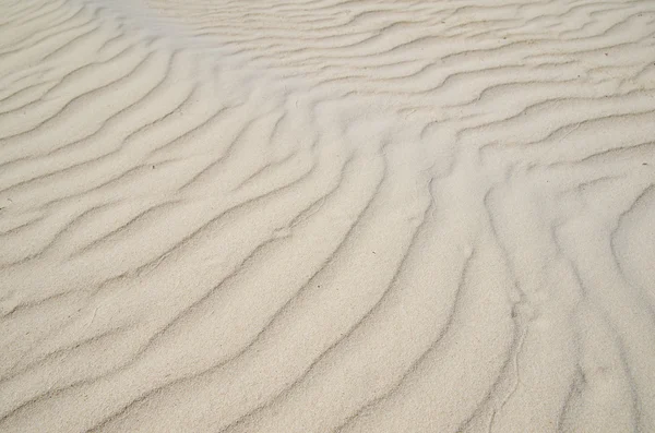 Shot of coral sand — Stock Photo, Image