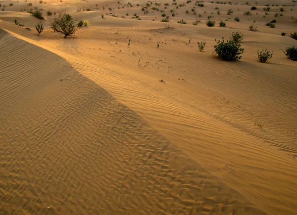 Paysage désertique avec coucher de soleil — Photo