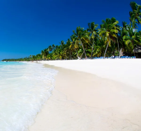 Strand en tropische zee — Stockfoto