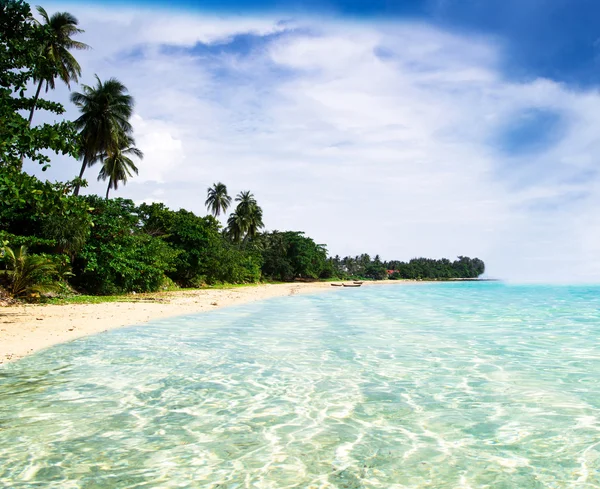 plaj ve tropikal deniz