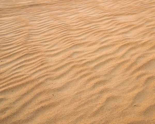 Textura del desierto oro —  Fotos de Stock