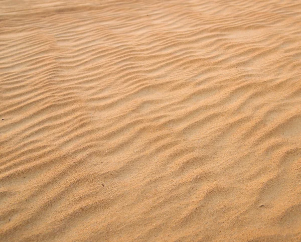 Gold desert  texture — Stock Photo, Image