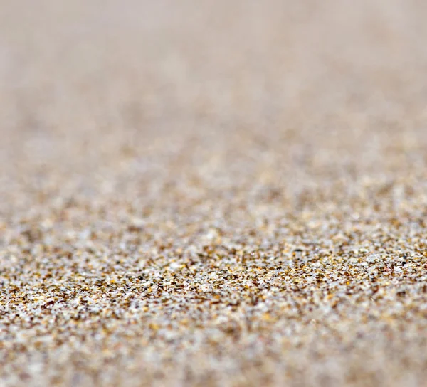 Schot van koraal zand — Stockfoto