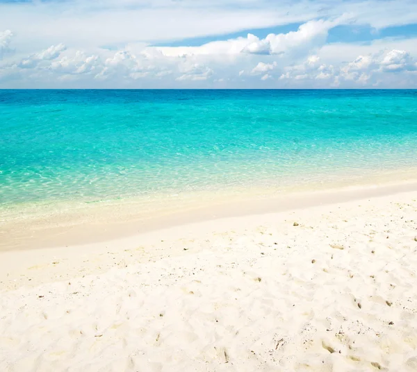 Playa y mar tropical — Foto de Stock