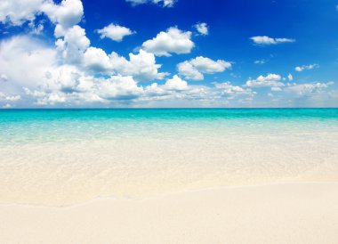 plaj ve tropikal deniz