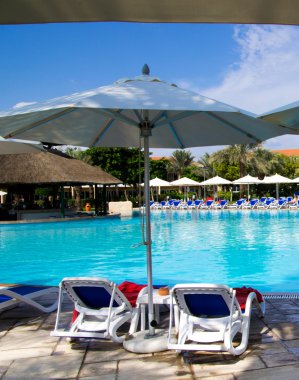 Hindistan cevizi ağaçları ile Yüzme Havuzu